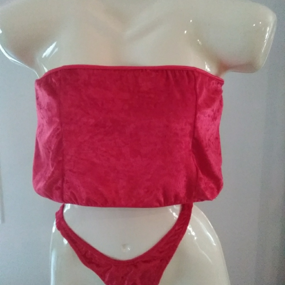 Shame crop top and panty NWOT